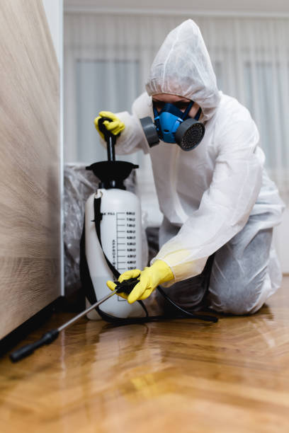 Best Indoor Pest Control  in Rosewood Heights, IL